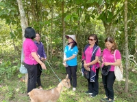 TỔ TIẾT KIỆM VỐN VAY TỰ QUẢN THÔN, BẢN - MÔ HÌNH HỖ TRỢ HIỆU QUẢ PHỤ NỮ VÙNG KHÓ