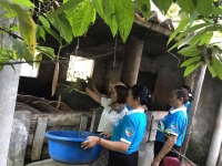Hội LHPN phường Bắc Gianh Quản lý tốt nguồn vốn ủy thác Ngân hàng Chính sách xã hội
