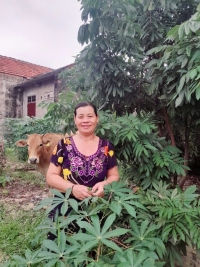 HỘI LHPN XÃ NAM GIANH: HỖ TRỢ HỘI VIÊN VAY VỐN PHÁT TRIỂN KINH TẾ, THOÁT NGHÈO BỀN VỮNG