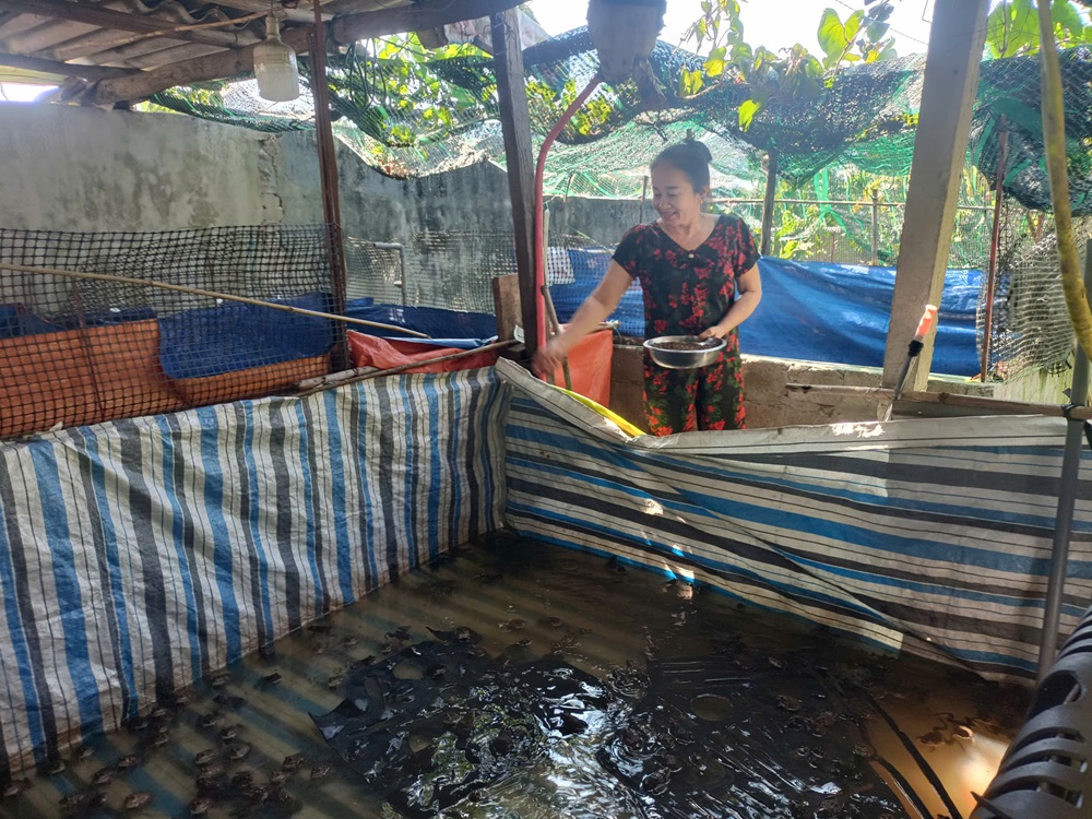 GƯƠNG PHỤ NỮ ĐIỂN HÌNH VƯƠN LÊN PHÁT TRIỂN KINH TẾ TỪ MÔ HÌNH NUÔI ẾCH